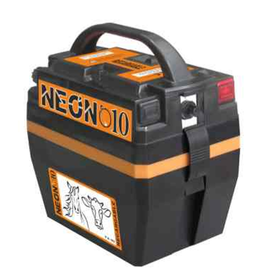 Pastor recargable neon 10